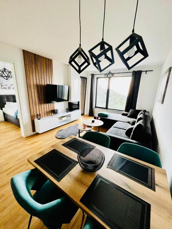 TV tai viihdekeskus majoituspaikassa Aspectus apartmani Divcibare