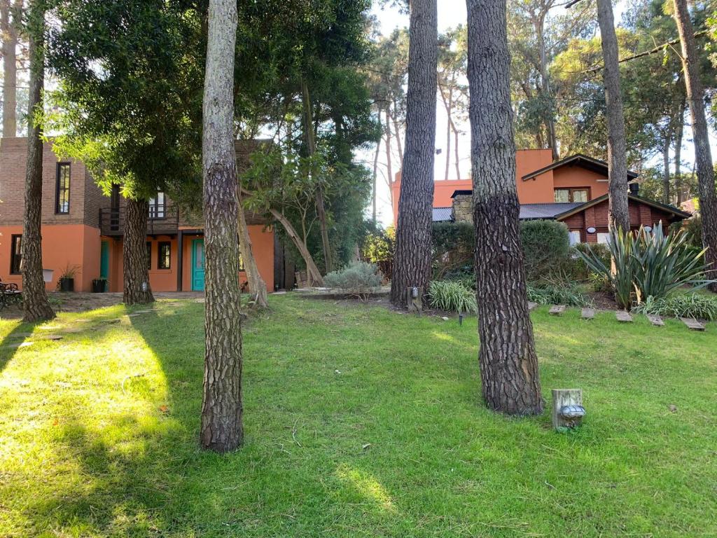 Kimbara Bosque y Mar