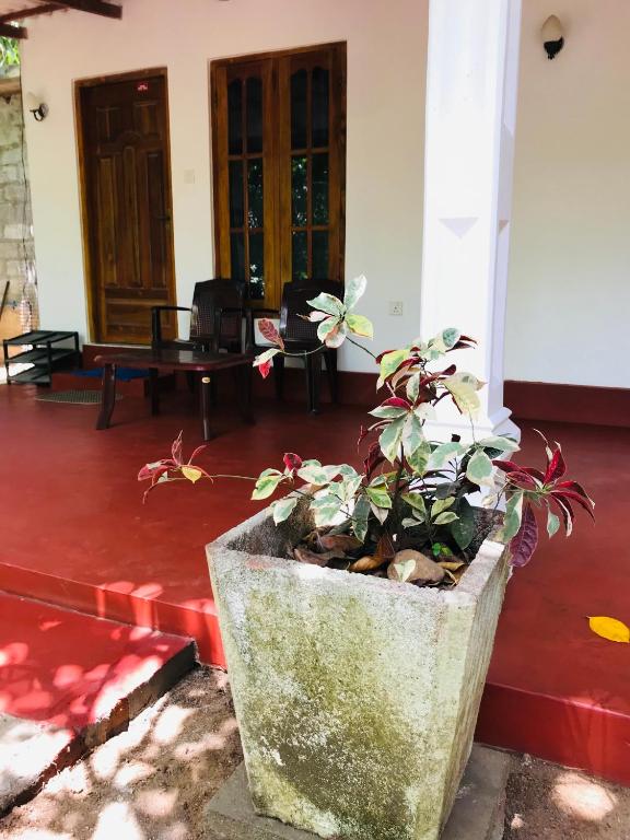 Fotografie z fotogalerie ubytování Sigiri Mihira Home Stay v destinaci Sigiriya