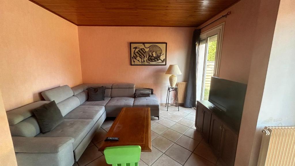 un salon avec un canapé et une télévision dans l'établissement La Pampa, à Mimizan