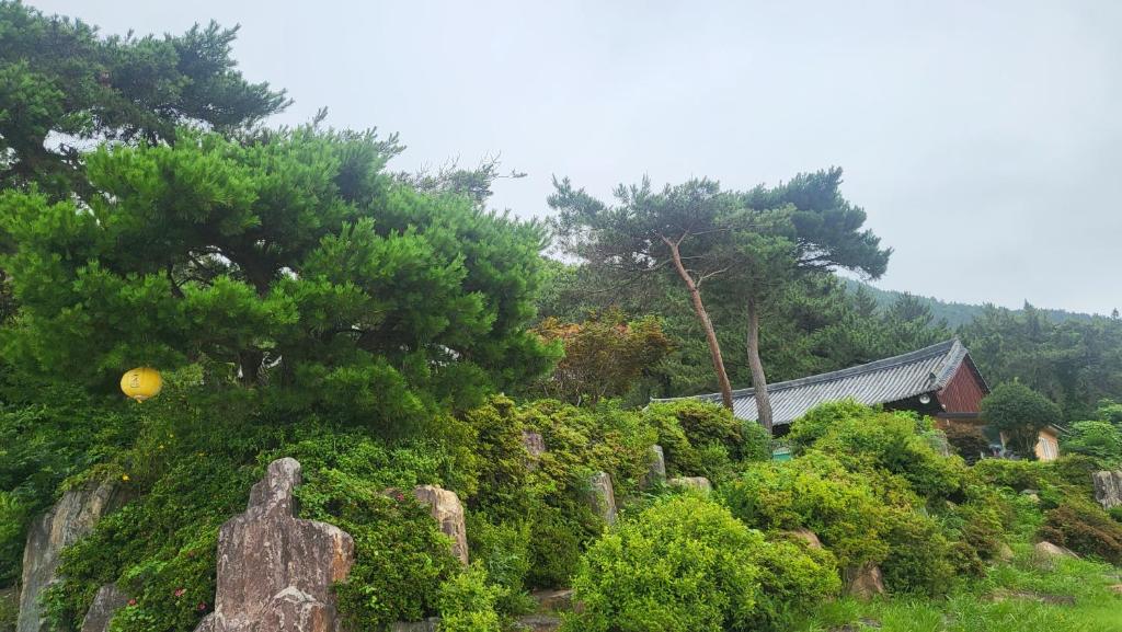 Zahrada ubytování Pet Friendly Hanok Temple Stay