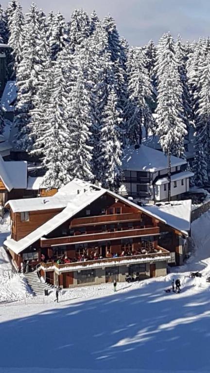 Pansion Vlašić Ski talvel