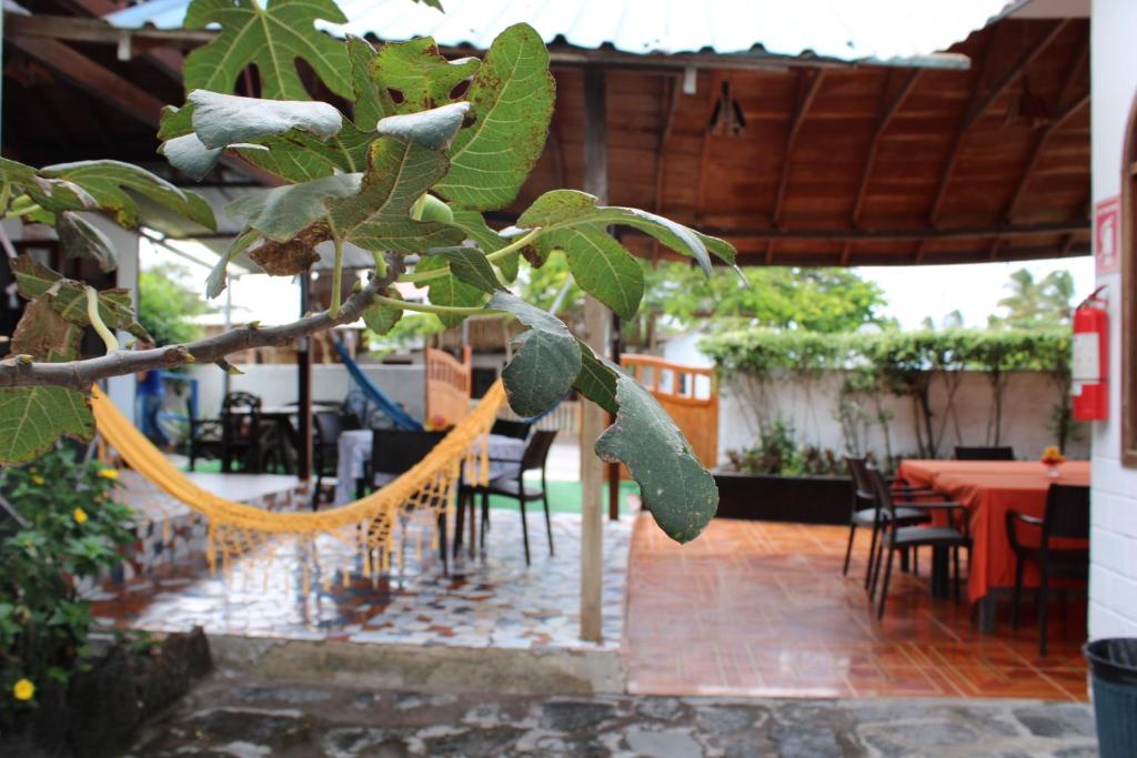 Restaurace v ubytování Las Gardenias Hostel - Starlink Internet
