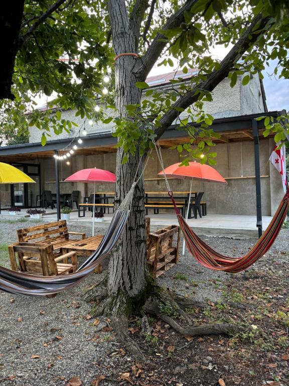 Fotografie z fotogalerie ubytování Hostel VANTA v destinaci Vanta