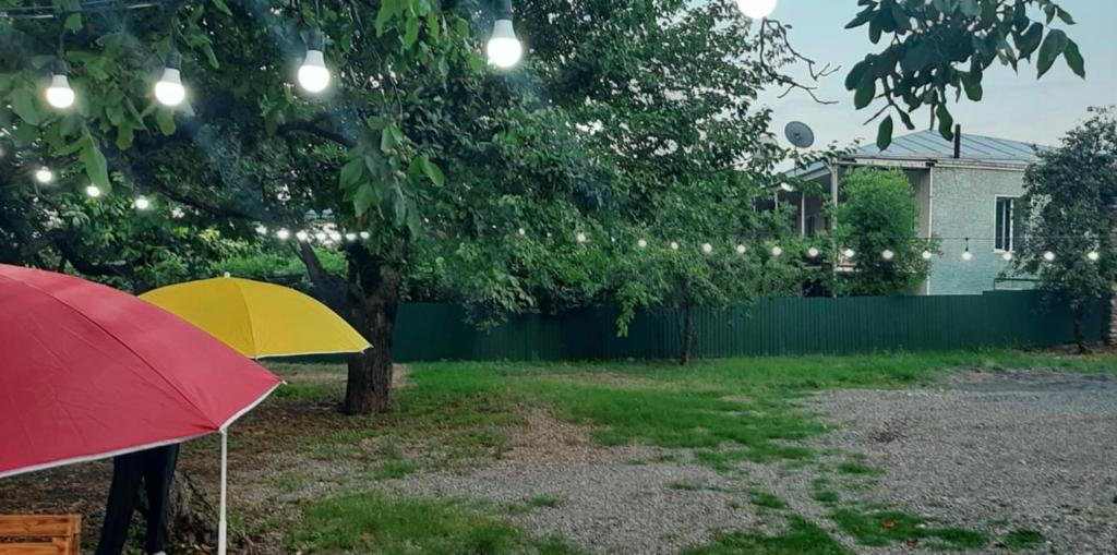 Zahrada ubytování Hostel VANTA