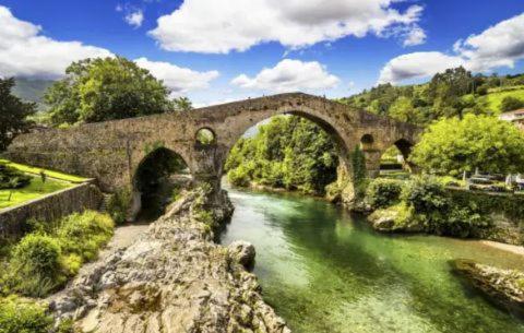 Hotel Ciudad Cangas de Onis - 15