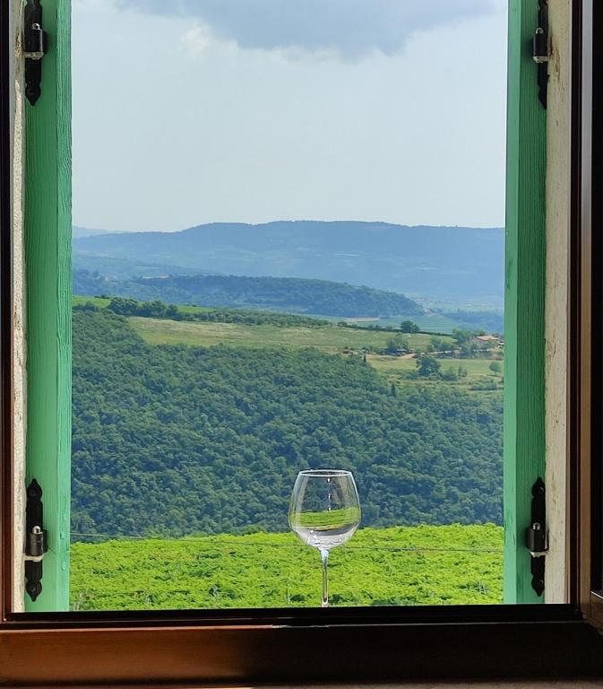Příroda nedaleko apartmánu
