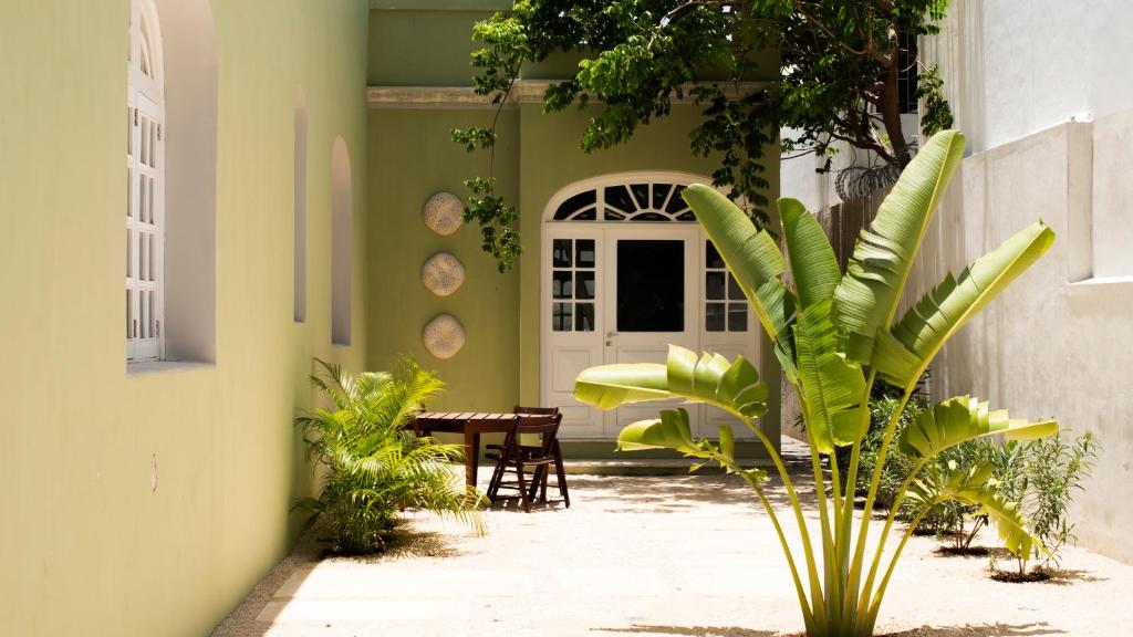 Zahrada ubytování ConSentido Tamarindo