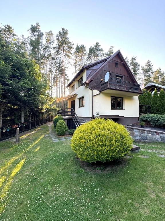a house with a green yard with bushes and trees at Domek nad Jeziorem Trzechowskim w lesie letniskowy na wsi in Iwiczno