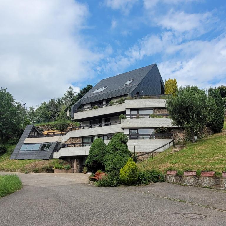 une grande maison avec un toit noir sur une colline dans l'établissement villa deloro, à Orbey