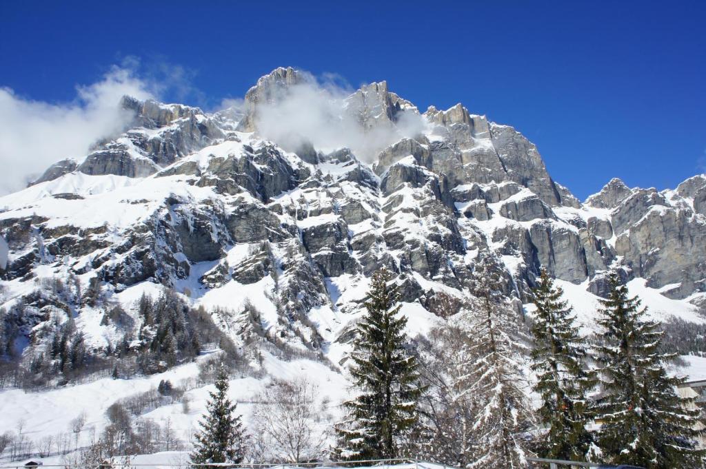 Hotel Astoria - Resim 13