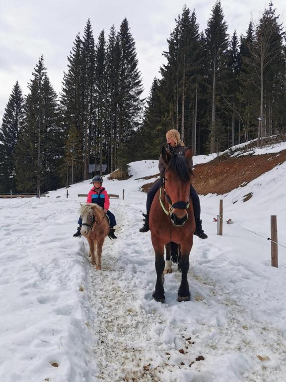 Hosté ubytování Schell-Hütte