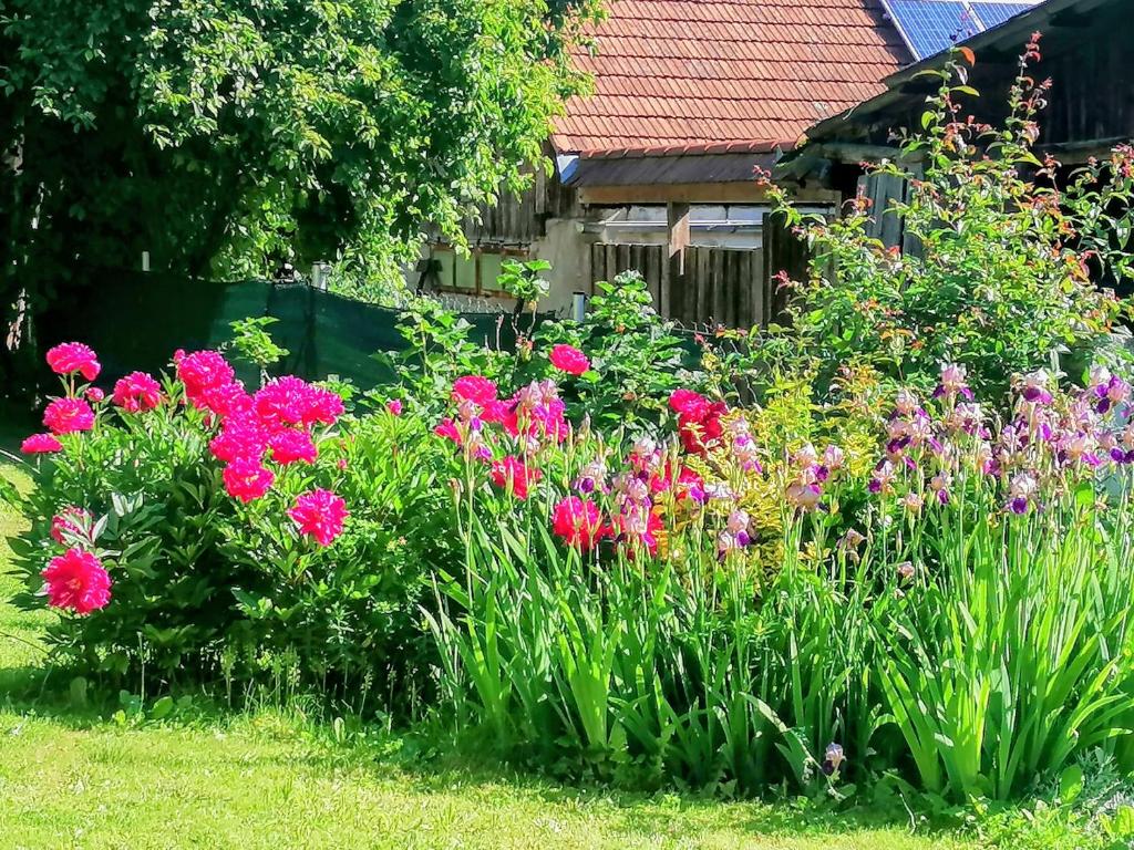 Zahrada ubytování Ferienhaus klein und fein