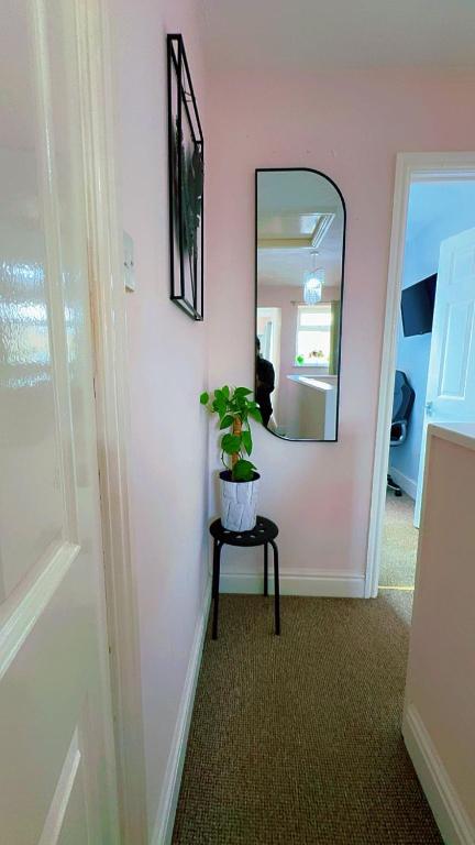 TV/trung tâm giải trí tại 82 wolseley road