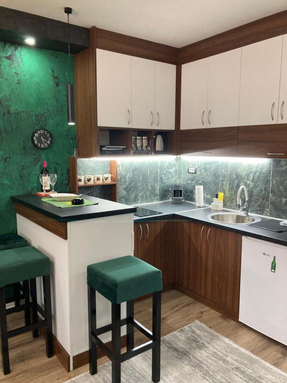 Küche/Küchenzeile in der Unterkunft Apartman Aleksandar 2
