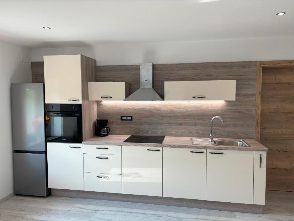 Kuchyň nebo kuchyňský kout v ubytování Livan Apartment