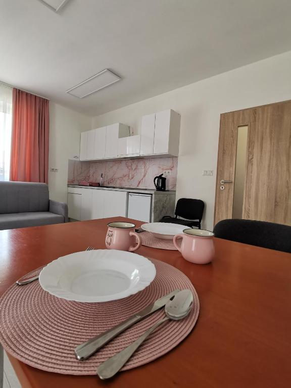 Kuchyň nebo kuchyňský kout v ubytování Comenius Apartments - Apartmány na rohu