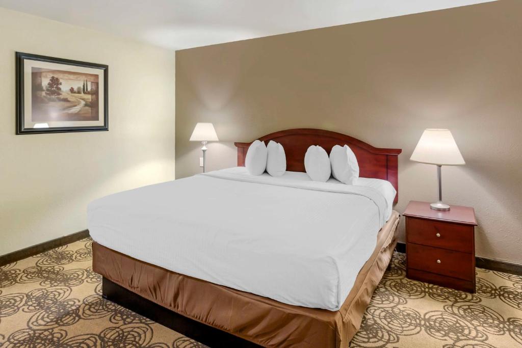 Postel nebo postele na pokoji v ubytování Best Western Elko Inn