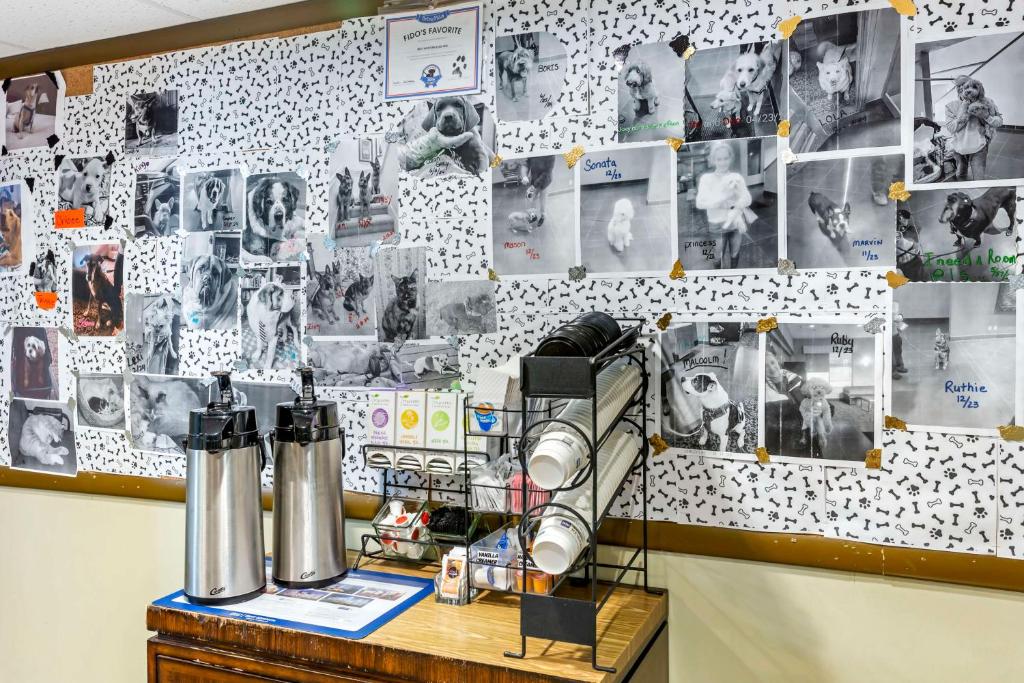 Příslušenství pro přípravu čaje a kávy v ubytování Best Western Elko Inn