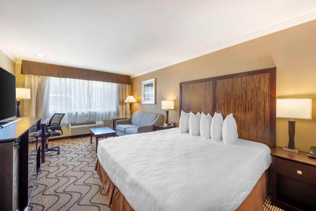 BEST WESTERN ORCHID