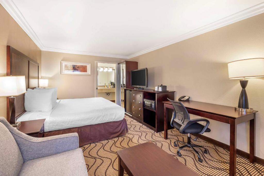 Best Western Plus Orchid Hotel & Suites - Executive King Room Met Bankbed