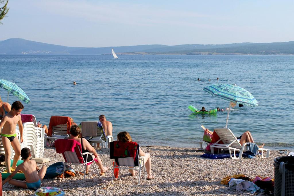 Príroda v okolí apartmánu