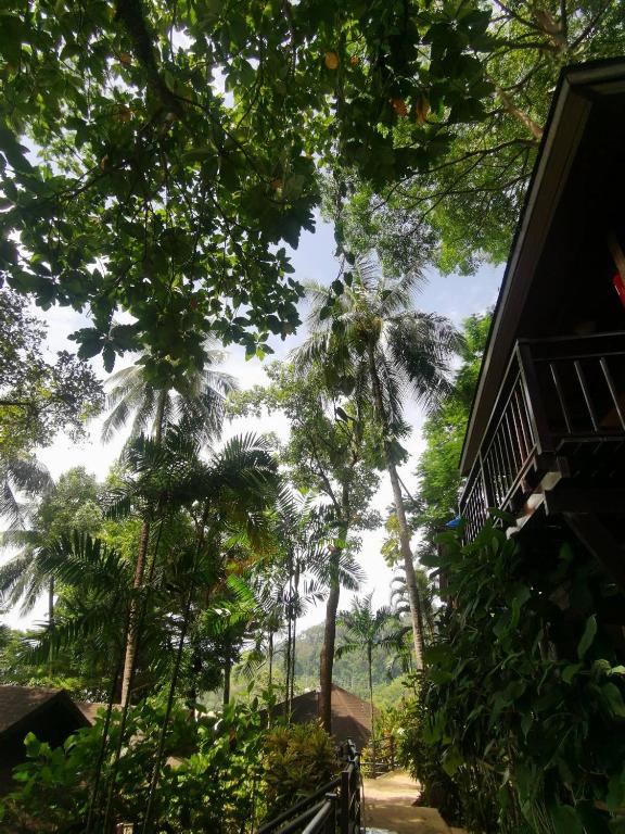 Zahrada ubytování Baan Krating Khao Lak Resort - SHA plus