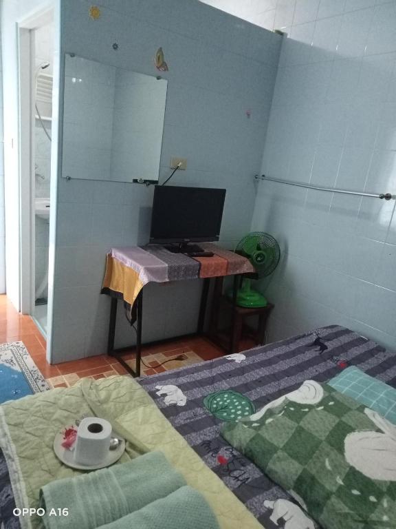 TV a/nebo společenská místnost v ubytování NP guesthouse