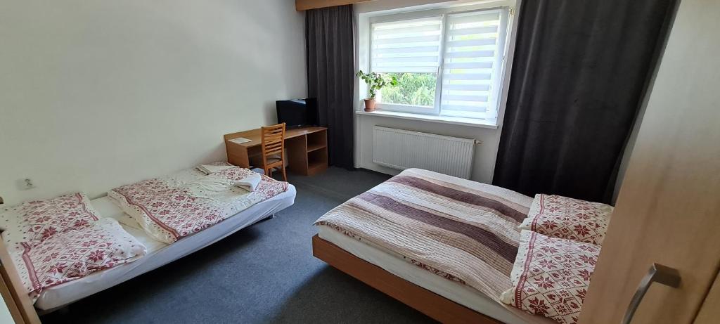 Postel nebo postele na pokoji v ubytování Penzión Borievka