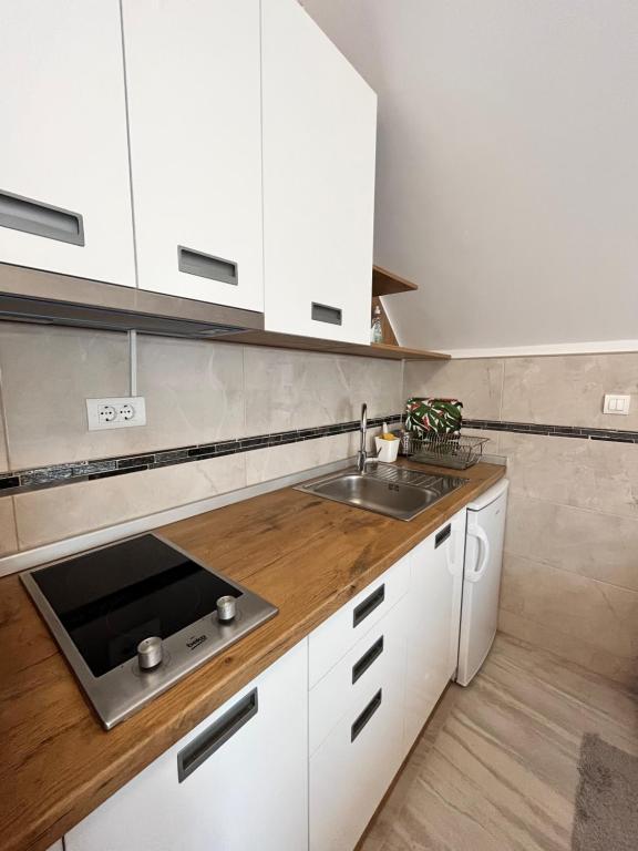 Kuchyň nebo kuchyňský kout v ubytování Apartman Pavle