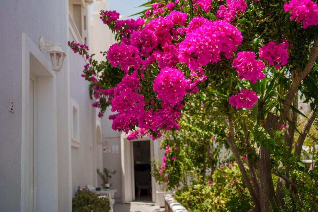 Wisteria Apartments, Karterados (updated prices 2026)