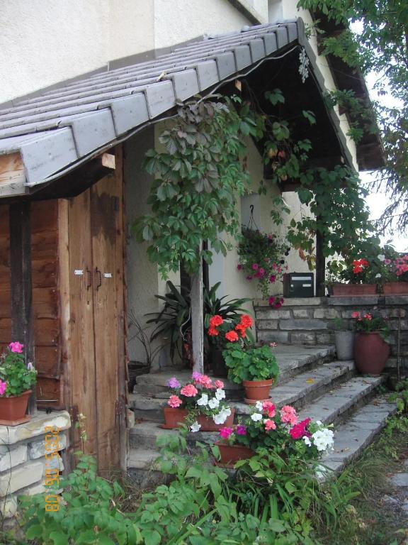- une entrée avec des fleurs et des plantes en pots dans l'établissement Maison charmante à Saint-Léger-les-Mélèzes avec jardin clôturé, à Saint-Léger-les-Mélèzes