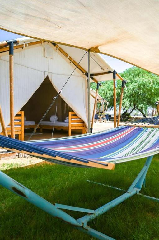 Zahrada ubytování Elifaz Desert Experience Holiday