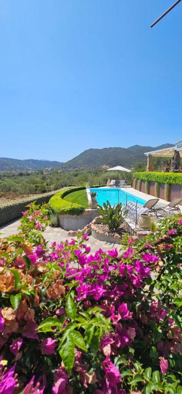 a bunch of flowers in front of a swimming pool at Cuccumiao's An Owls' quiet nest! in Loiri