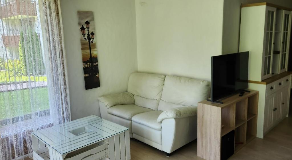 TV a/nebo společenská místnost v ubytování Schöne Ferienwohnung in Traumlage FeWo SoloHike