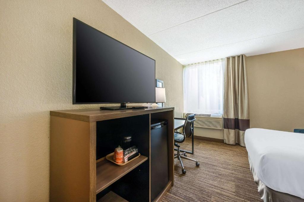 Comfort Inn & Suites East Hartford - Hartford - Double Room - No Fumadores
