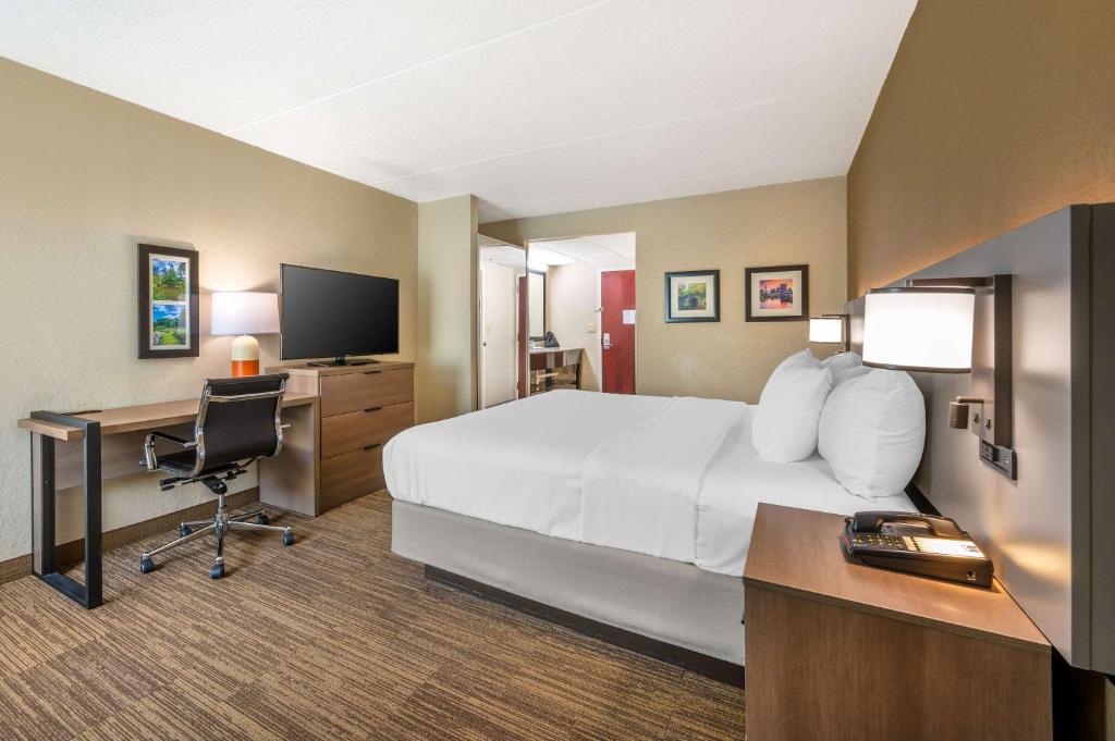 Comfort Inn & Suites East Hartford - Hartford - King Suite - No Fumadores