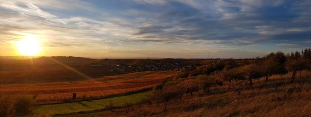 a view of the sun setting over a field at Castillo 1 in Ensheim