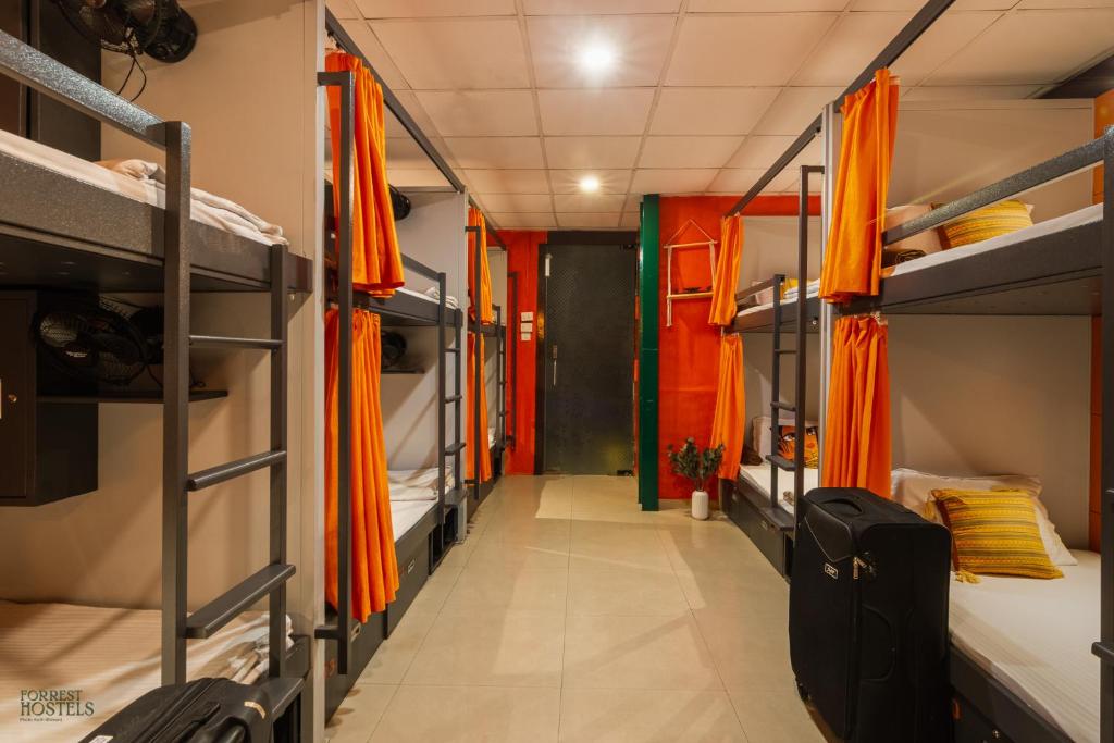 Letto o letti a castello in una camera di Forrest Hostels