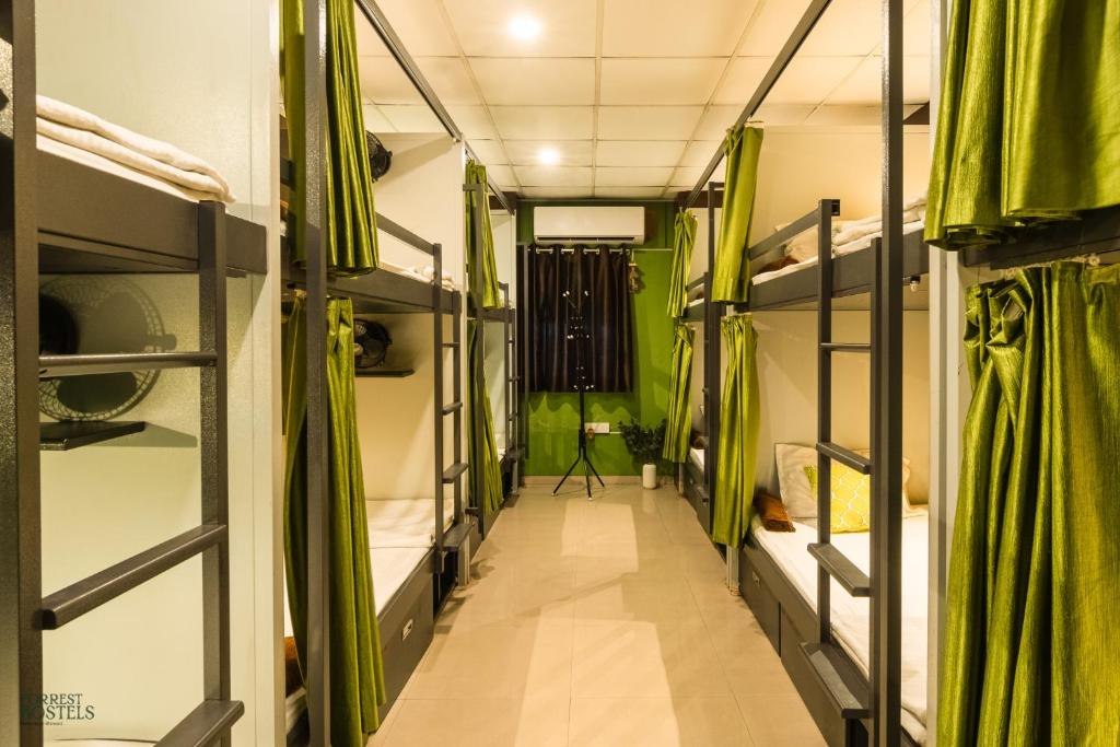 Letto o letti a castello in una camera di Forrest Hostels