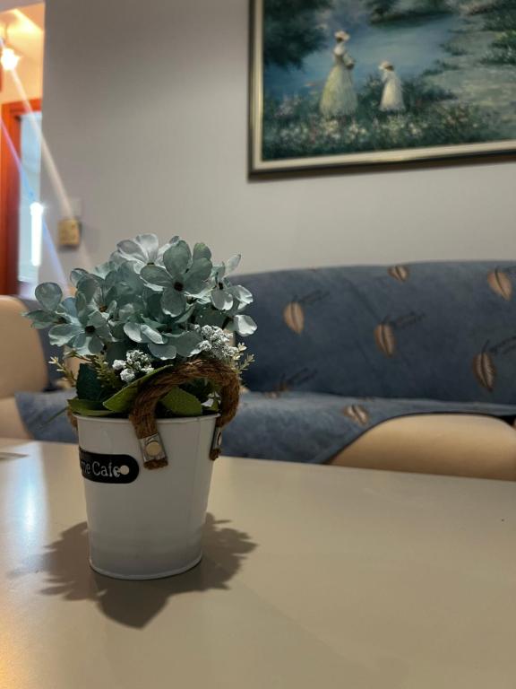 a potted plant sitting on a table in front of a couch at Katies cozy corner in Chios