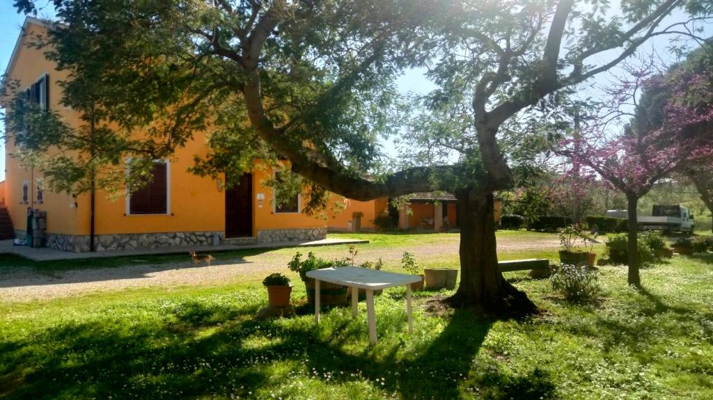 Agriturismo da Remo - Doppelzimmer