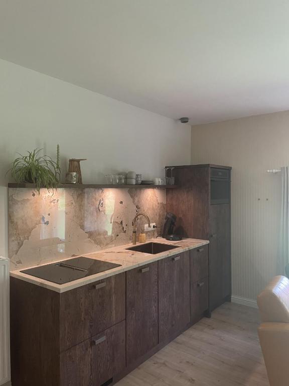 a kitchen with a sink and a counter top at Twisterhof, appartement Anna, in Sustrum