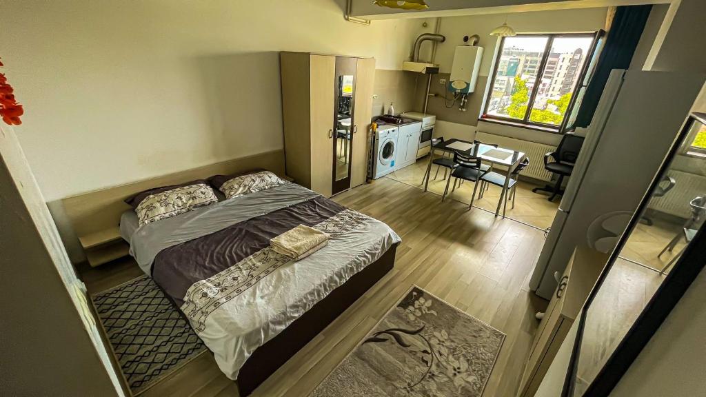 Palas Mall Studios - La 2 minute de Palas Mall si Palatul Culturii - Appartement