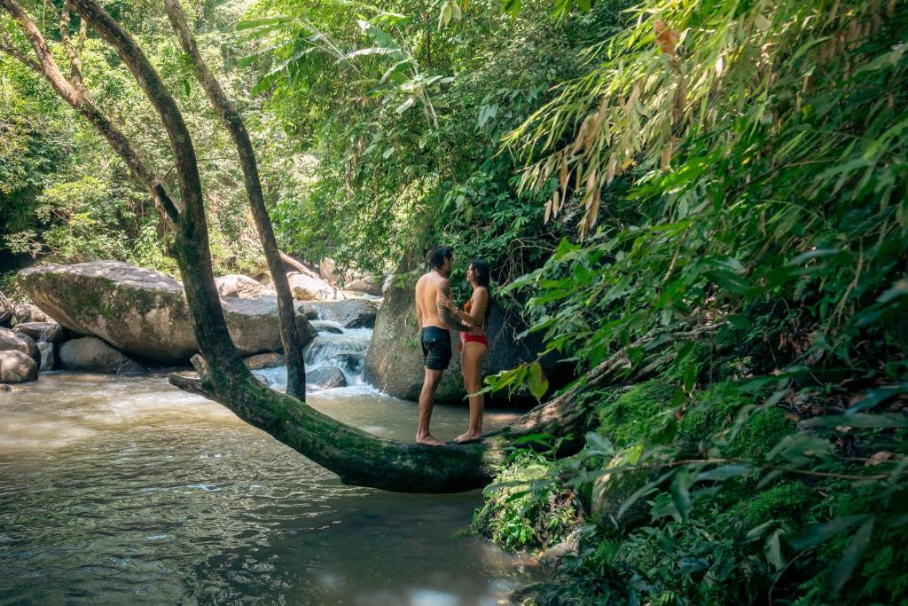 two people standing on a tree branch in a river at Casa Ñi Tayrona in Santa Marta