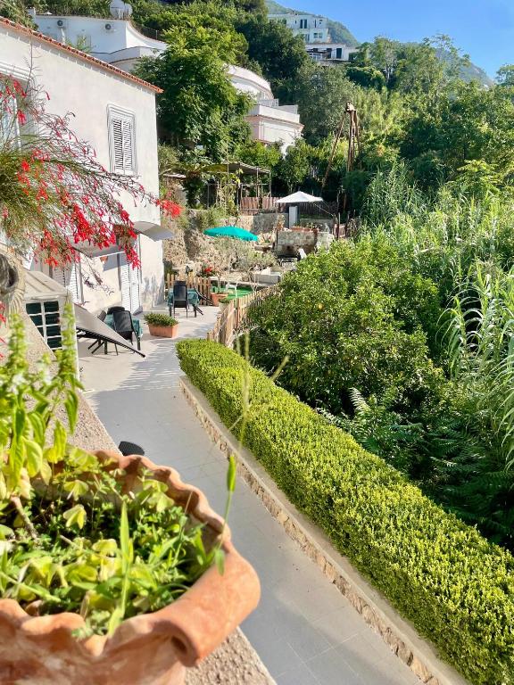 a view of a garden with plants on a wall at Villa Raffaela - Appartamenti Lacco Ameno in Lacco Ameno