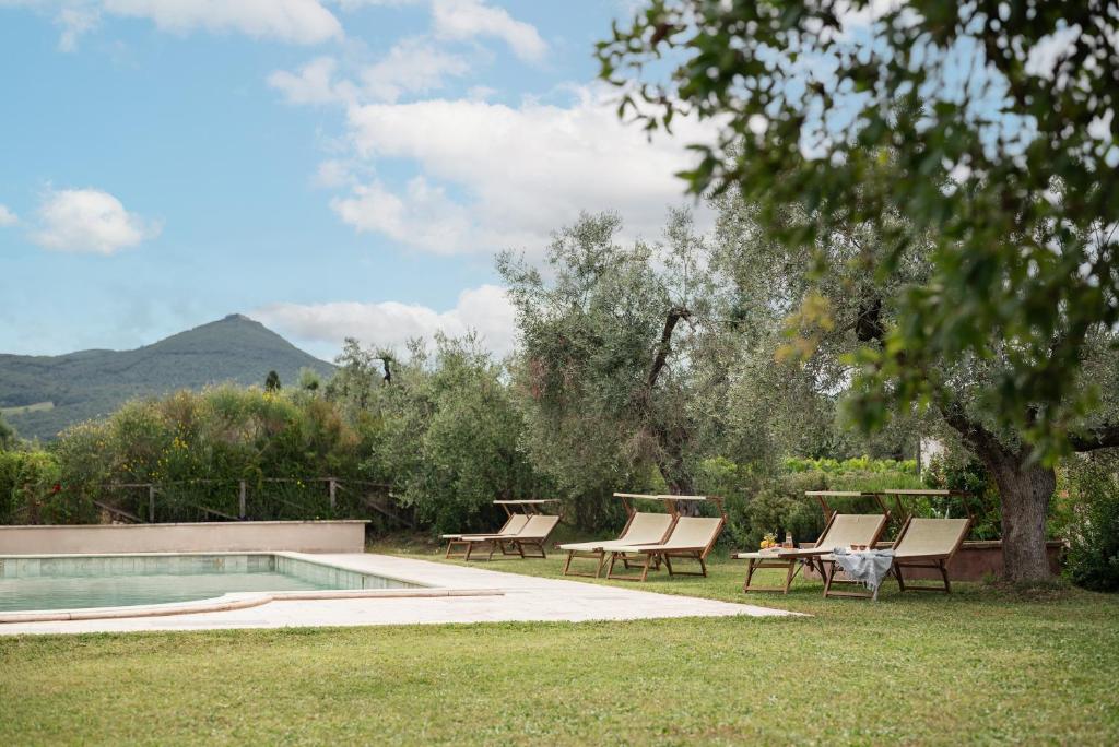 Agriturismo Tra gli Ulivi, Chiappini Winery