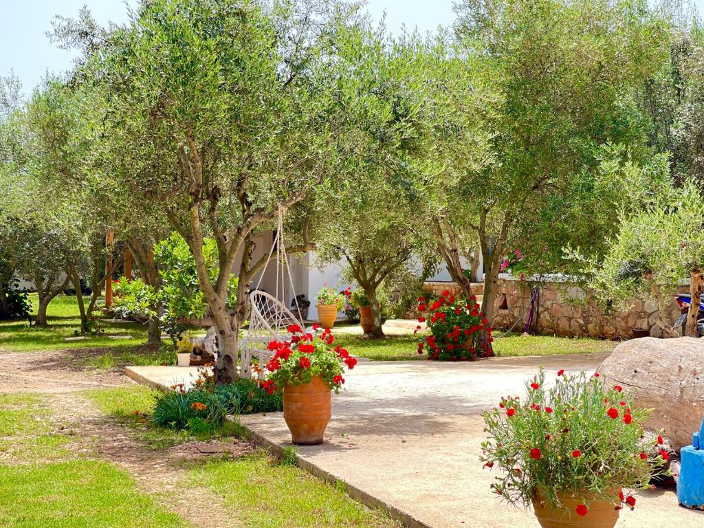 a garden with flowering plants and trees and flowers at Rida Village Ksamil Island in Ksamil