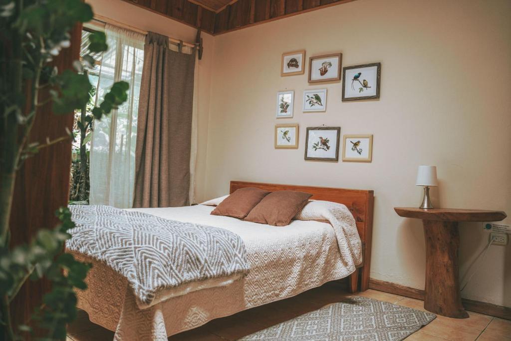 une chambre avec un lit et une fenêtre dans l'établissement Santuario Ecologico Monteverde, à Monteverde Costa Rica