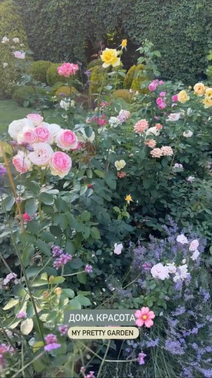 Sea Marbella - Resim 21